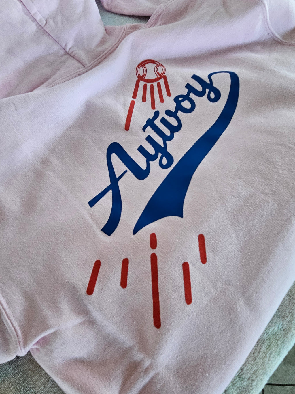 Aytvoy Pink Hoodie